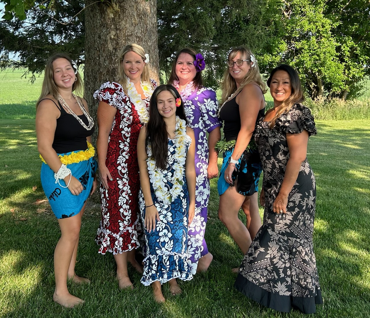 022a688c9c33430ab842266b55850442